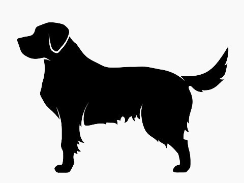 Dirty Dog Pet Grooming